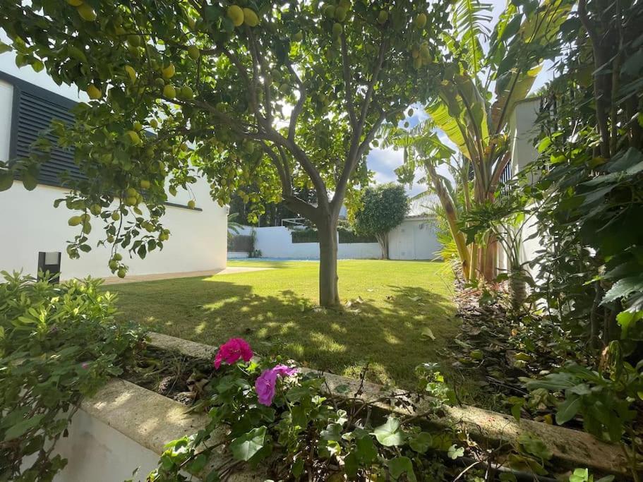 Sunset Villa Arcos Arcos de la Frontera Εξωτερικό φωτογραφία