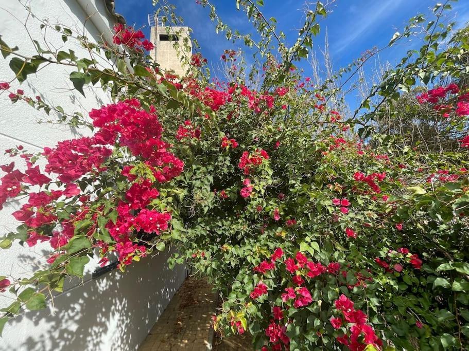 Sunset Villa Arcos Arcos de la Frontera Εξωτερικό φωτογραφία